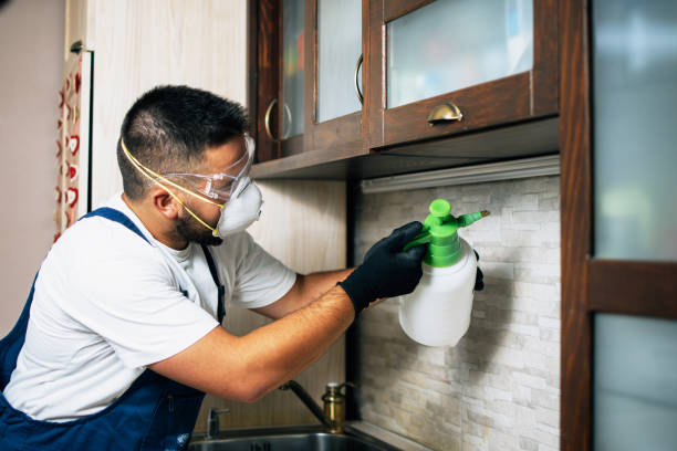 Best Residential Pest Control  in Holden, MO