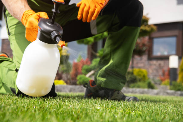 Best Commercial Pest Control Services  in Holden, MO