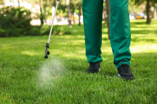 Best Pest Control Near Me in Holden, MO
