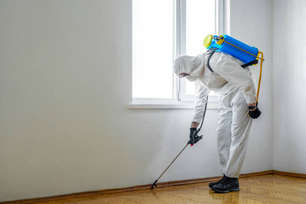 Best Pest Removal Services  in Holden, MO