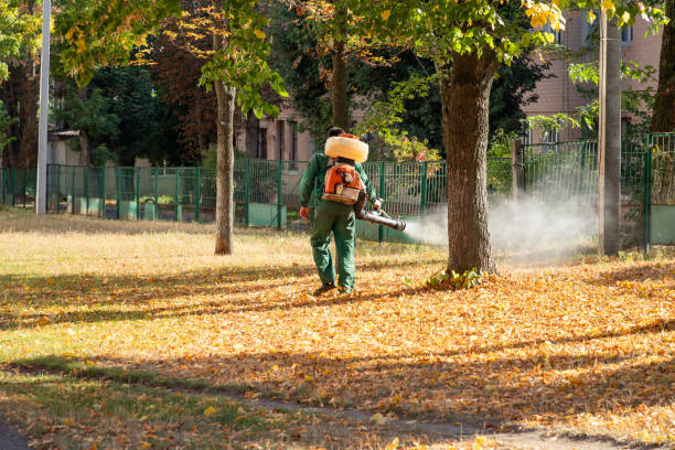 Trusted Holden, MO Pest Control Experts