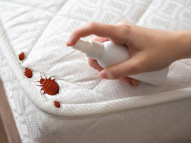 Best Commercial Pest Control Services  in Holden, MO